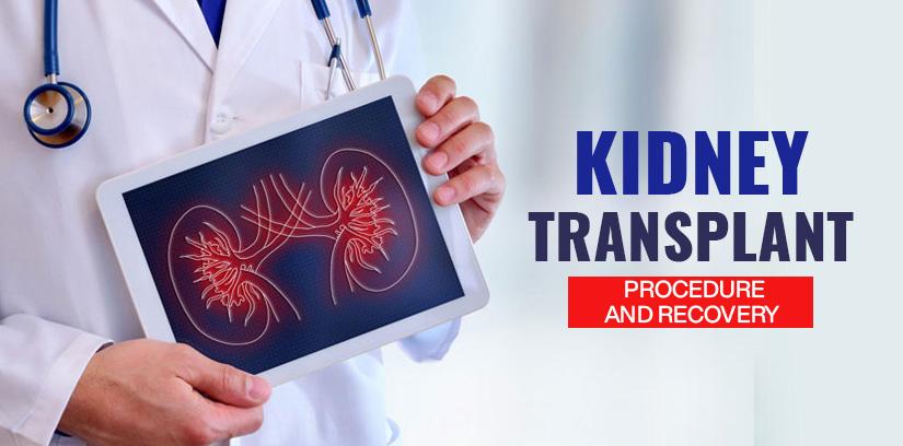 Kidney transplant consultation